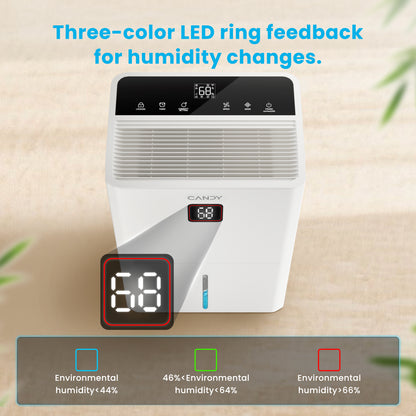 Candy 98 Pints Dehumidifier for Spaces up to 5000 Sq. Ft CAS-CF40(W)-US
